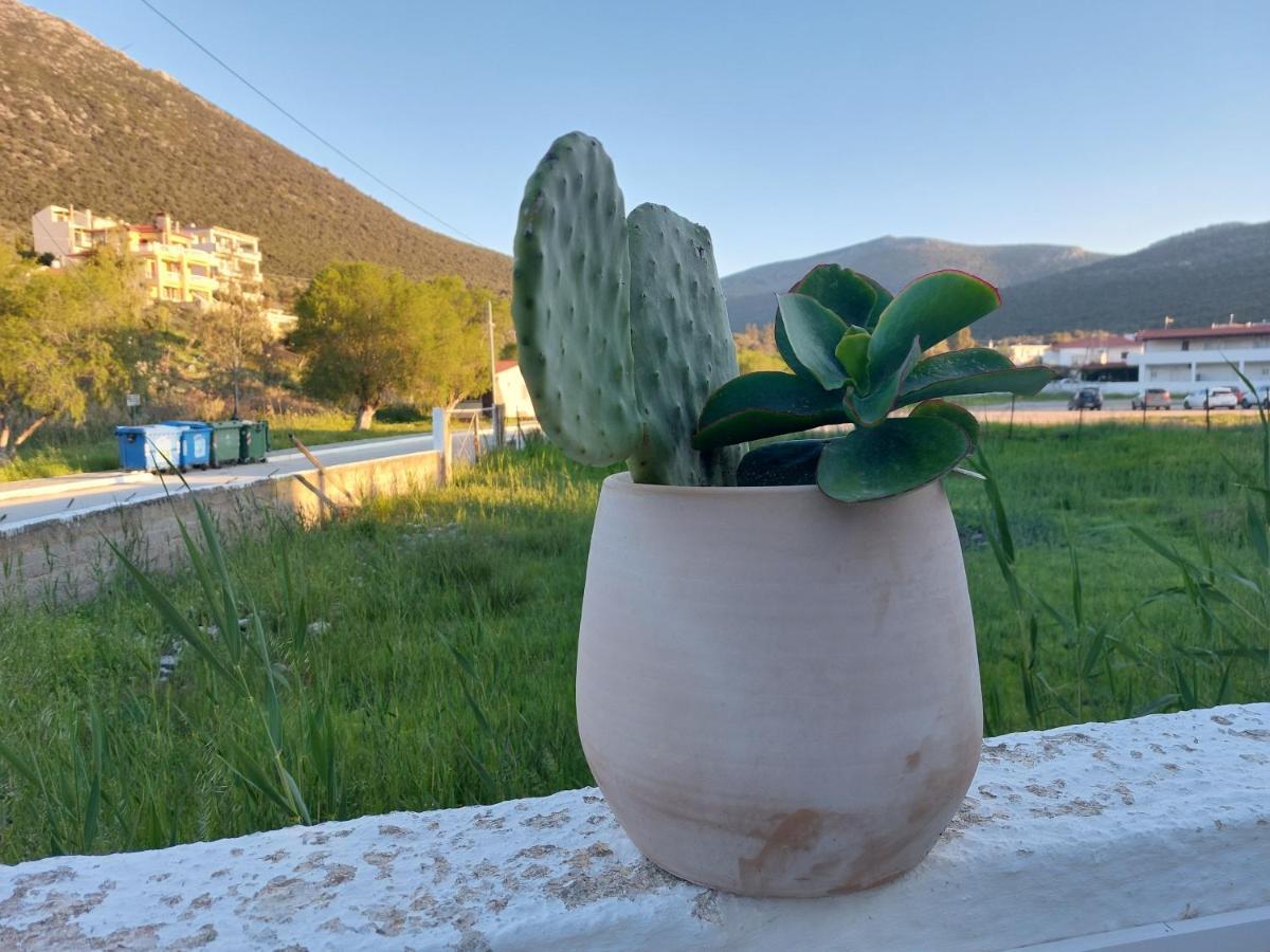 Vitamin Sea Apartment 4, Άνετο Διαμέρισμα. Almiropótamos Exterior foto